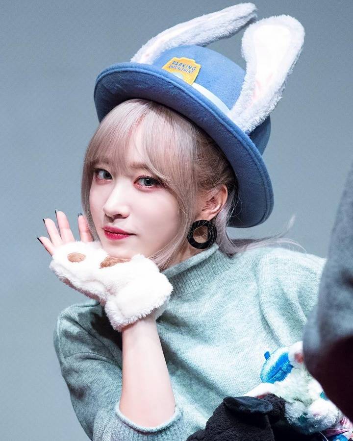 간만에 닉값하자는 의미에서 하니 | 인스티즈
