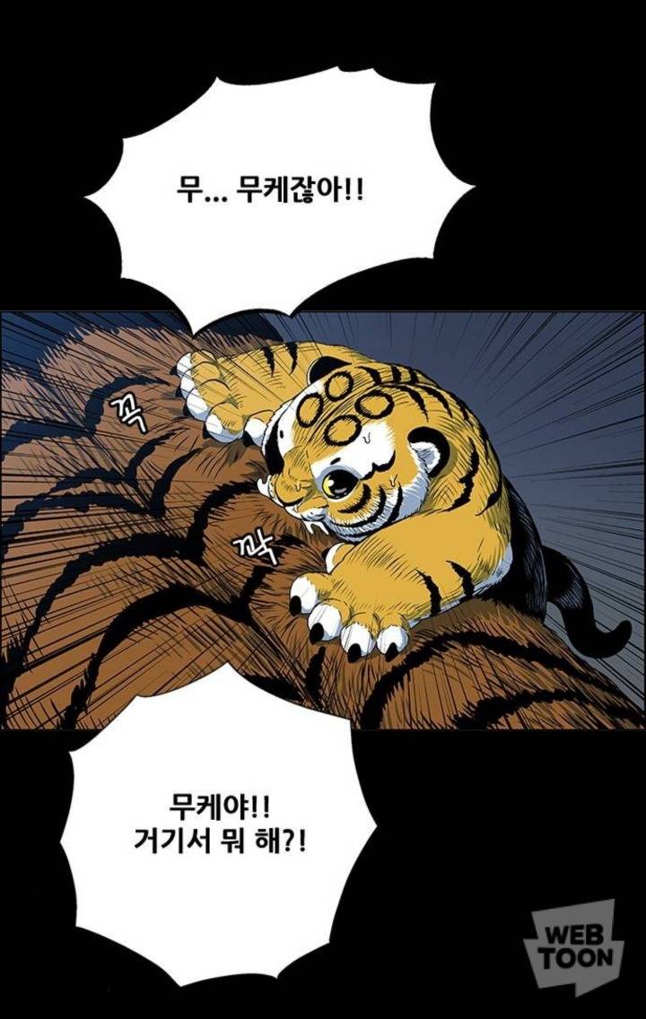 호랑이 형님 속 애기냥이 무케 모음 | 인스티즈