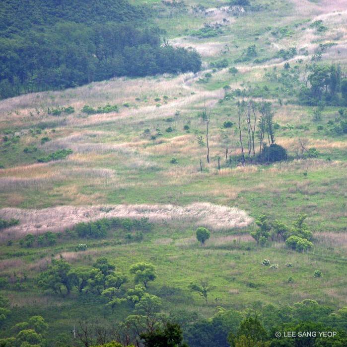 지구에서 57년간 인간의 발길이 닿지않은곳 | 인스티즈
