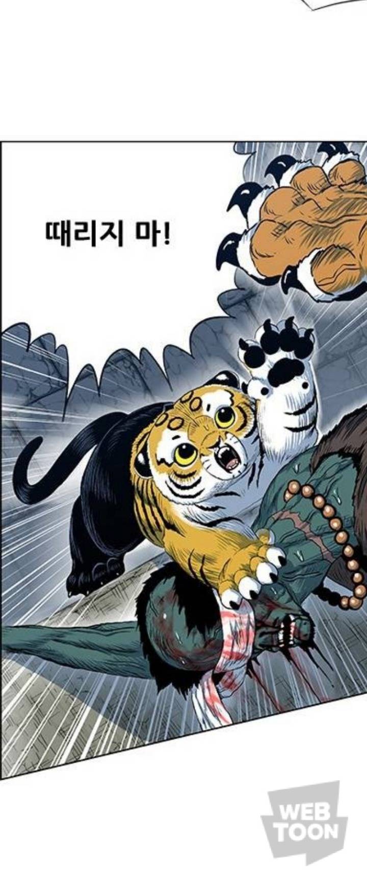 호랑이 형님 속 애기냥이 무케 모음 | 인스티즈