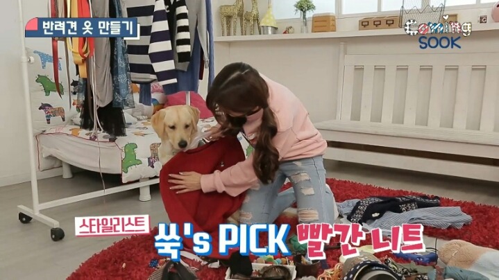 강아지 옷 만드는 지숙.jpg | 인스티즈