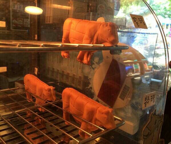 국내 시골에서만 파는 특이한 지역빵 | 인스티즈