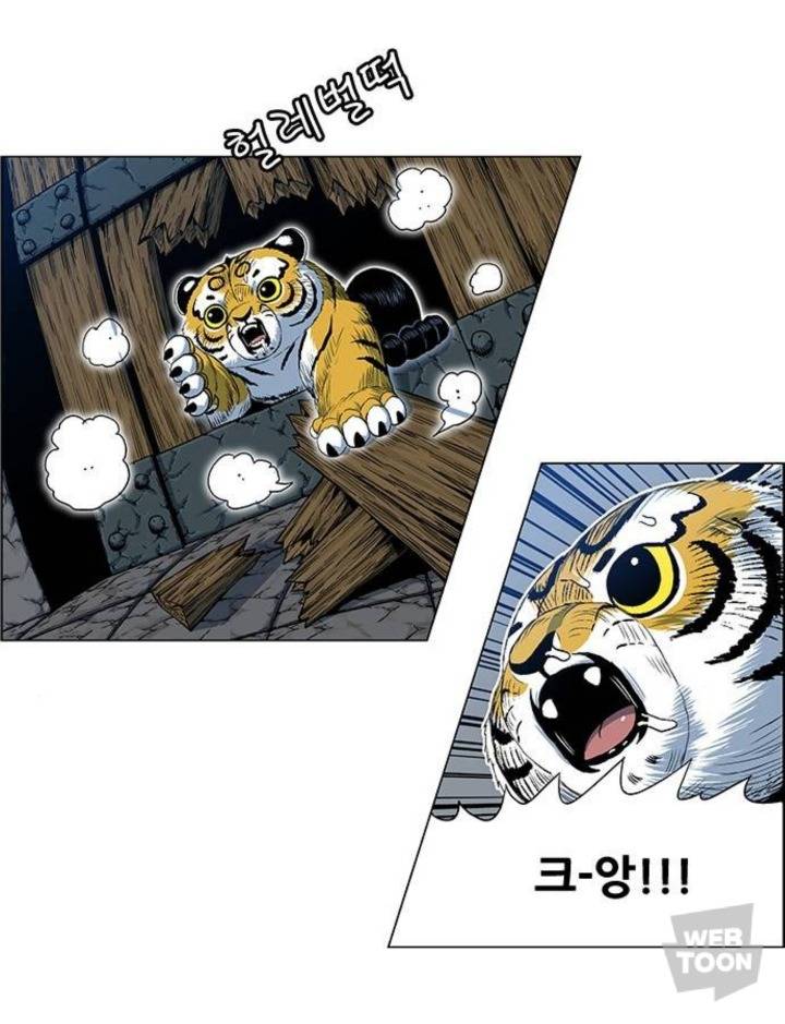 호랑이 형님 속 애기냥이 무케 모음 | 인스티즈