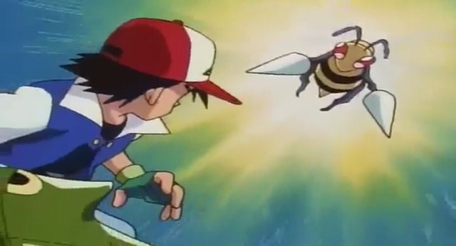 포켓몬스터) 단데기에서 버터플로 진화하는거 캡쳐 | 인스티즈