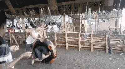 역대급 바다입수방법 | 인스티즈