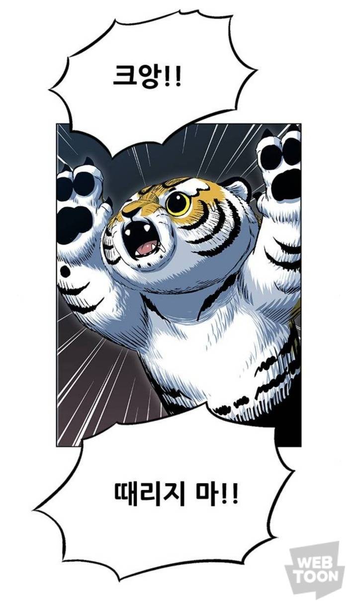 호랑이 형님 속 애기냥이 무케 모음 | 인스티즈