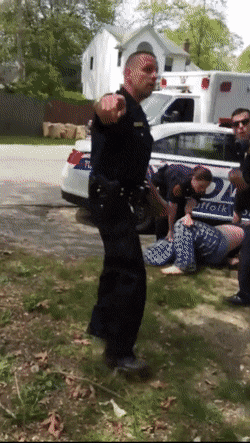 시민이 경찰의 공무집행을 방해할 때 한국/ 외국 차이점 | 인스티즈