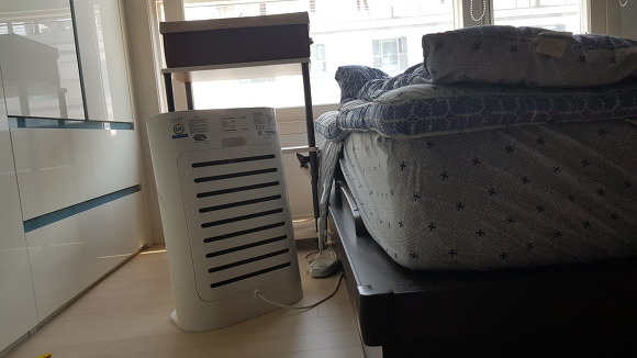  우리 이쁜 고양이 자랑 3 | 인스티즈