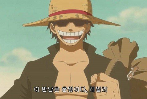 스포주의) 원피스 덕후들 사이에서 거의 확실시 되고 있는 원피스 결말 | 인스티즈