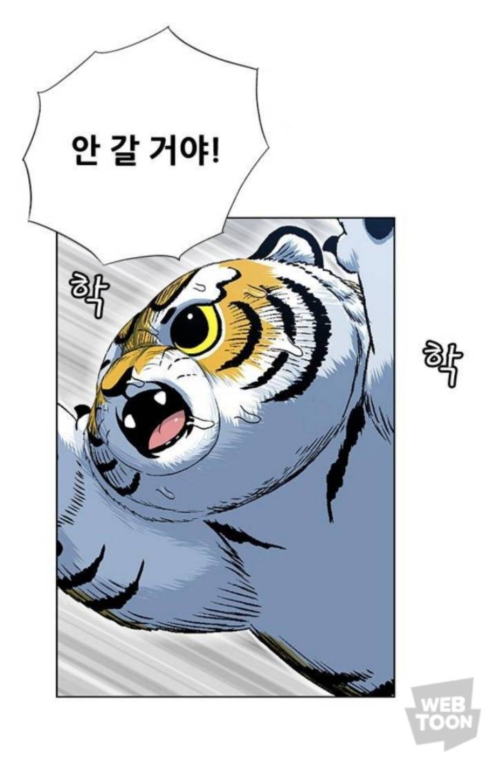 호랑이 형님 속 애기냥이 무케 모음 | 인스티즈