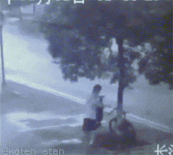 대륙의 자전거 도둑.gif | 인스티즈