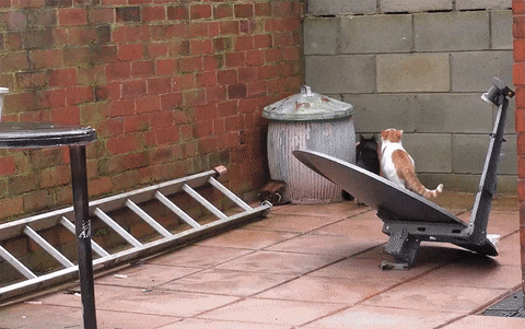 분위기가 갑자기 어색해졌다 | 인스티즈