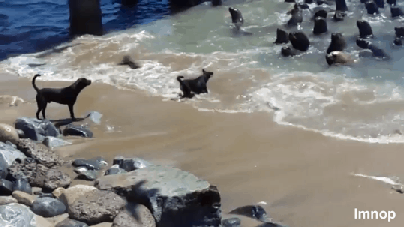 우리집에 왜 왔니 | 인스티즈