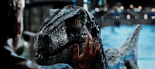 우리 블루.gif | 인스티즈