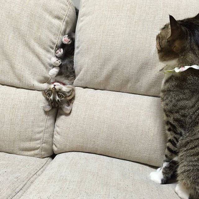 자식이 사고친걸 목격한 엄마 | 인스티즈