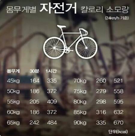 라이딩시즌시작봄 자전거알고타기 (운동효과+칼로리소모) | 인스티즈