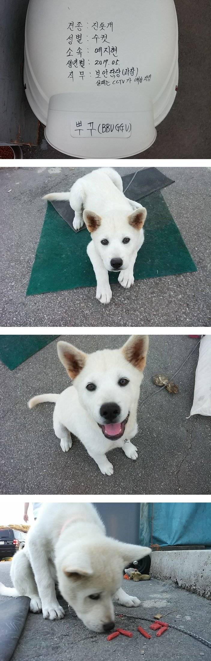 어느 회사의 보안과장님 | 인스티즈