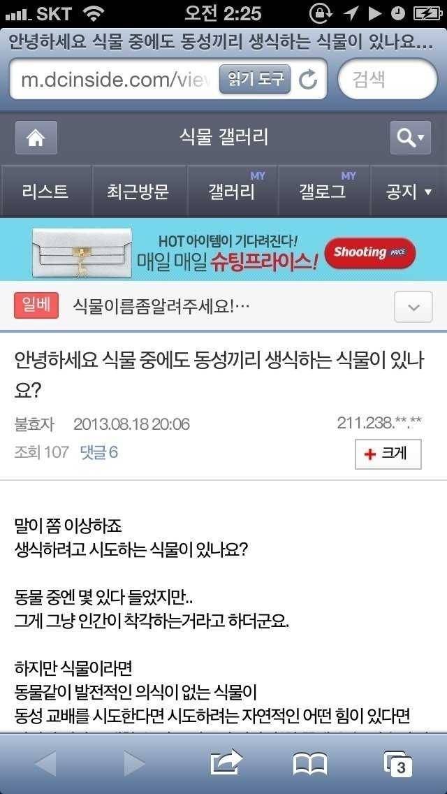 동성애 질문에 대한 식물갤 레전드 답변.jpg | 인스티즈