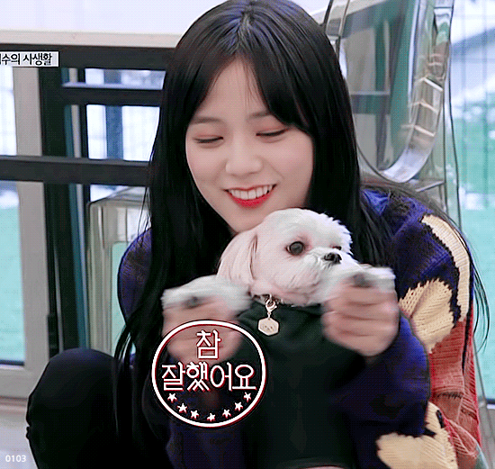 상큼한 블랙핑크 지수 | 인스티즈