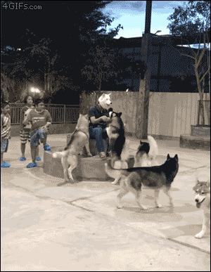 서울 가더니 사람 되어서 돌아왔네! | 인스티즈