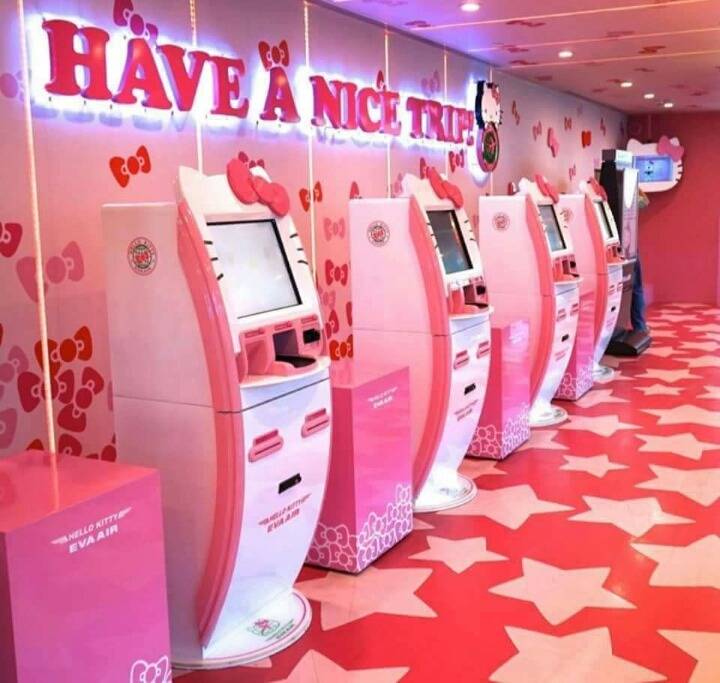 키티 비행기.jpg | 인스티즈