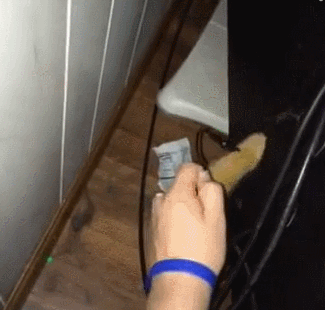 고양이 활용법.gif | 인스티즈