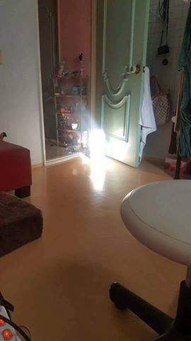 어리석은 주인아..jpg | 인스티즈