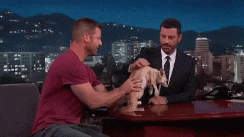 동물덕후들이 해외토크쇼를 부러워하는 이유 | 인스티즈