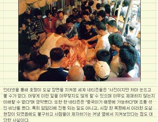 약혐 대륙의 호랑이 도살 | 인스티즈