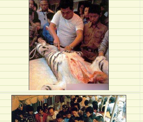 약혐 대륙의 호랑이 도살 | 인스티즈