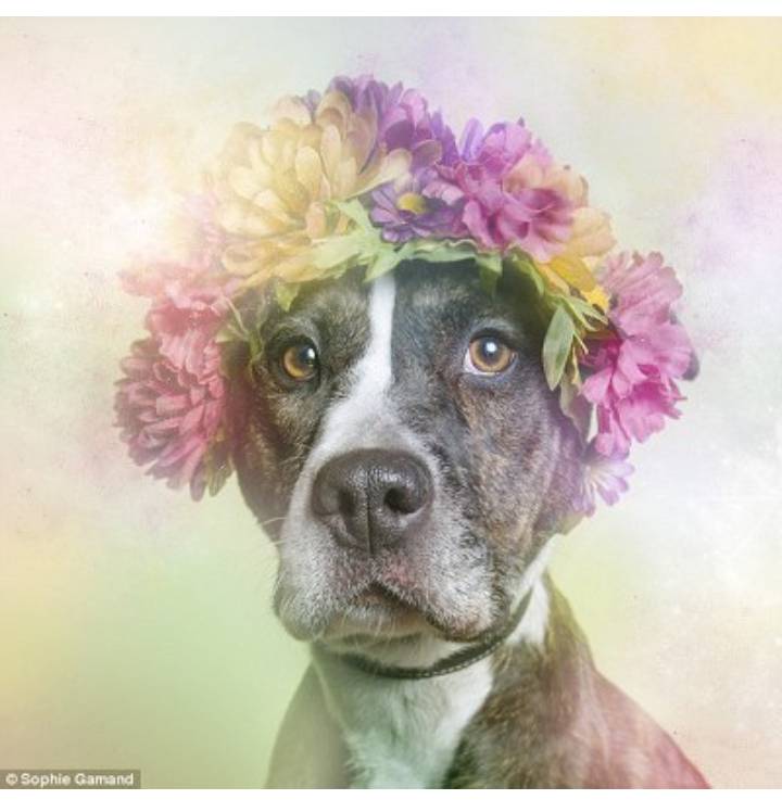 패닝맘이 누군지 찾아보았다 | 인스티즈