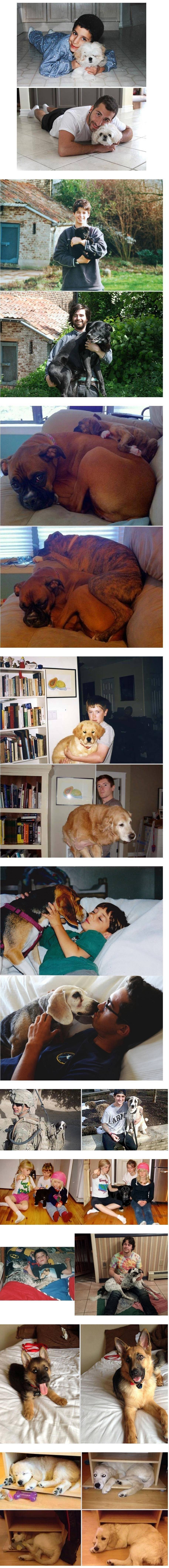 애견인들의 로망 | 인스티즈