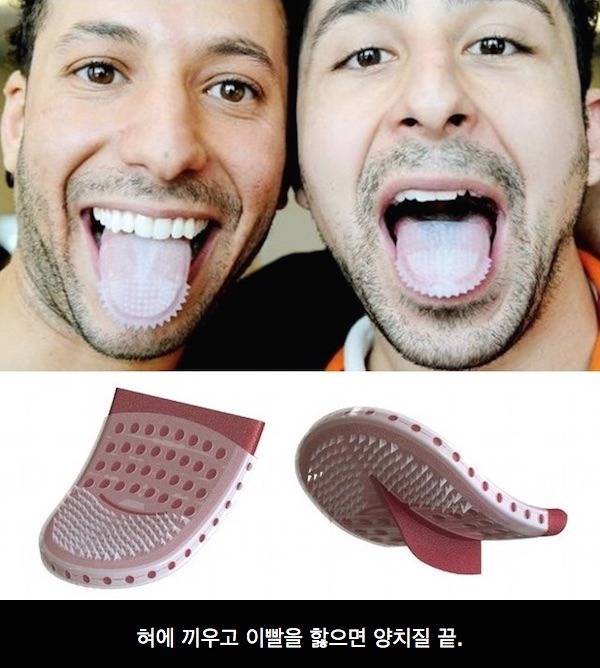 특이한 칫솔 | 인스티즈