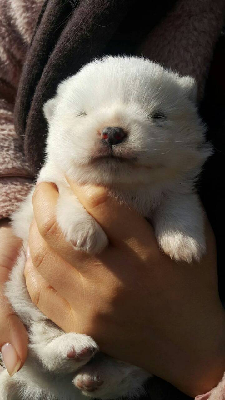 이 세상에 생긴지 열흘정도밖에 안된 따끈따끈한 생명체.jpg | 인스티즈