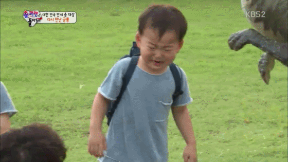 [삼둥이] 핵귀여운 쫄보 밍구기ㅋㅋㅋ | 인스티즈