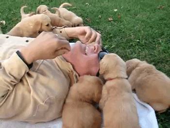 심장을 폭행하는 인절미들 | 인스티즈