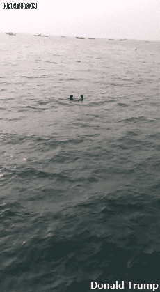 강아지 구하러 물에 뛰어드는 시민들.gif | 인스티즈