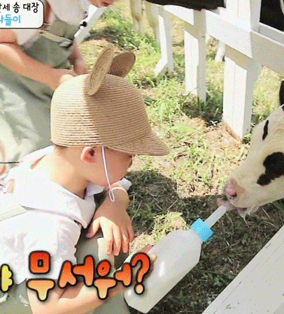 [삼둥이] 핵귀여운 쫄보 밍구기ㅋㅋㅋ | 인스티즈