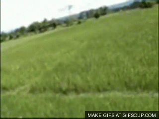 호랑이의 습격 | 인스티즈