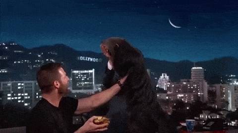 동물덕후들이 해외토크쇼를 부러워하는 이유 | 인스티즈