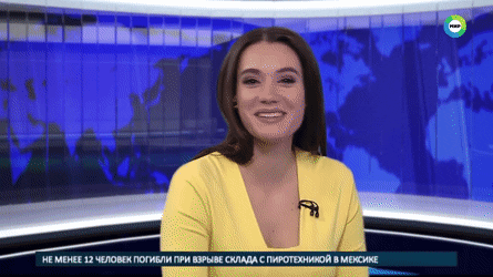 뉴스에 난입한 개.gif | 인스티즈