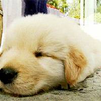 심장을 폭행하는 인절미들 | 인스티즈