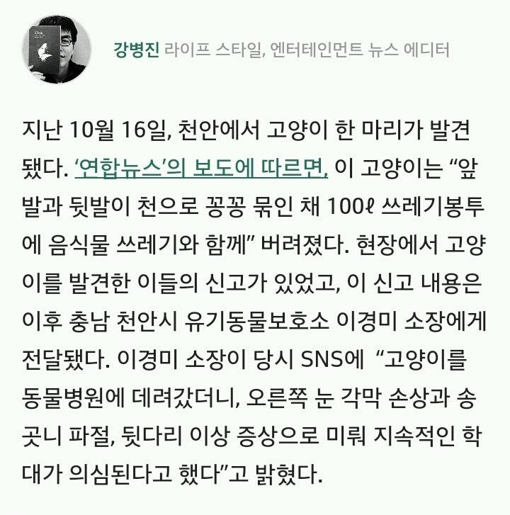발 묶인 채 쓰레기봉투에 담긴 고양이 사건은 자작극이었다 | 인스티즈