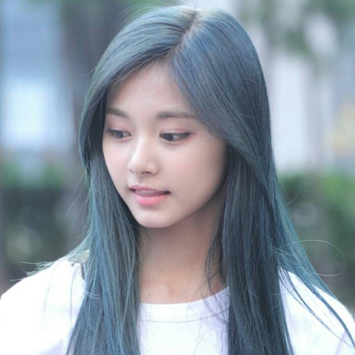 쯔위 보고 가세요 | 인스티즈