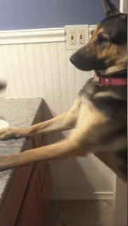 설날엔 역시 | 인스티즈