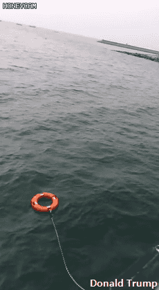 강아지 구하러 물에 뛰어드는 시민들.gif | 인스티즈