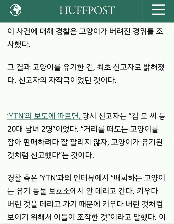 발 묶인 채 쓰레기봉투에 담긴 고양이 사건은 자작극이었다 | 인스티즈