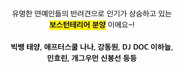 민효린햏이 키우는 반려동물이 왜 자주 바뀌는지 피드백해줬음하오 | 인스티즈