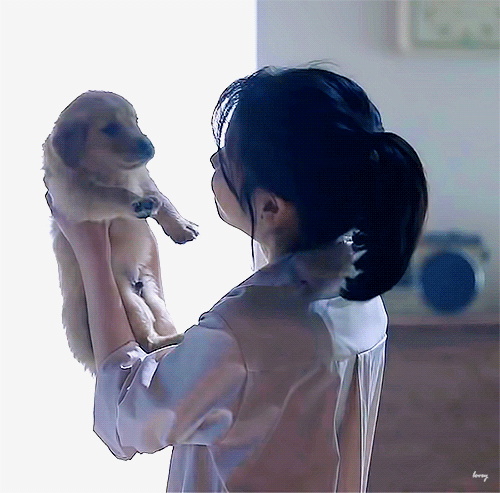 아이유와 강아지들.gif | 인스티즈