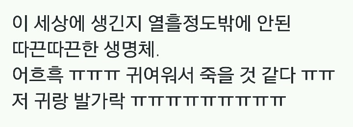 이 세상에 생긴지 열흘정도밖에 안된 따끈따끈한 생명체.jpg | 인스티즈